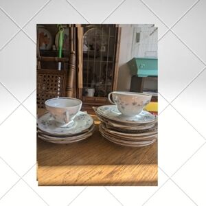 Elegant Floral Tea Cup and Saucer Set